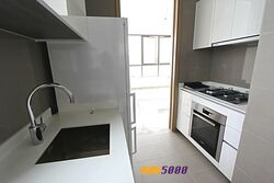 Skyline Residences (D4), Condominium #552277321